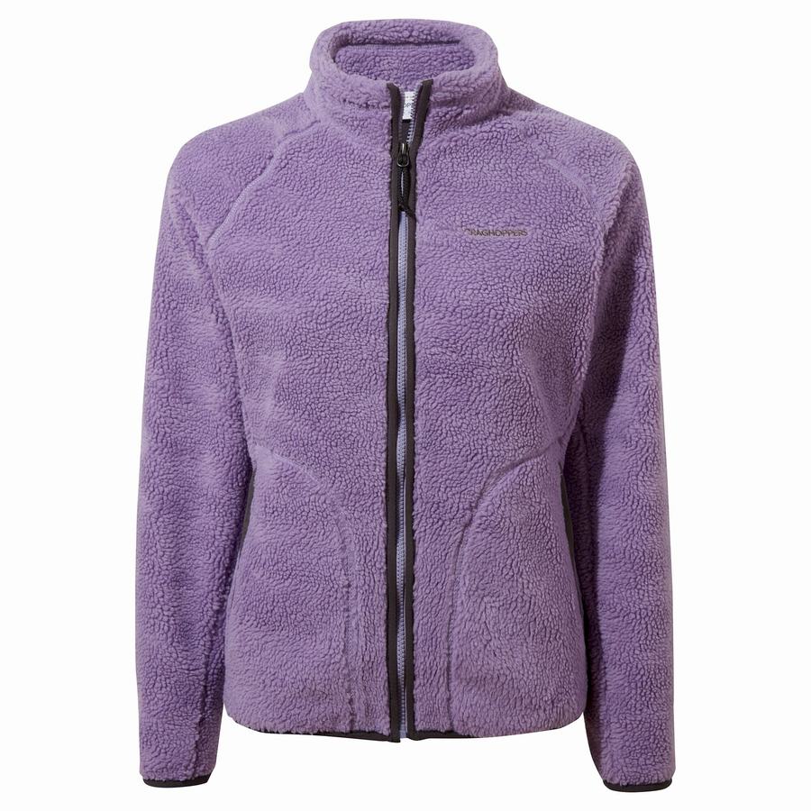 Vestes Craghoppers Salara Violette Femme | UFZ-6098197