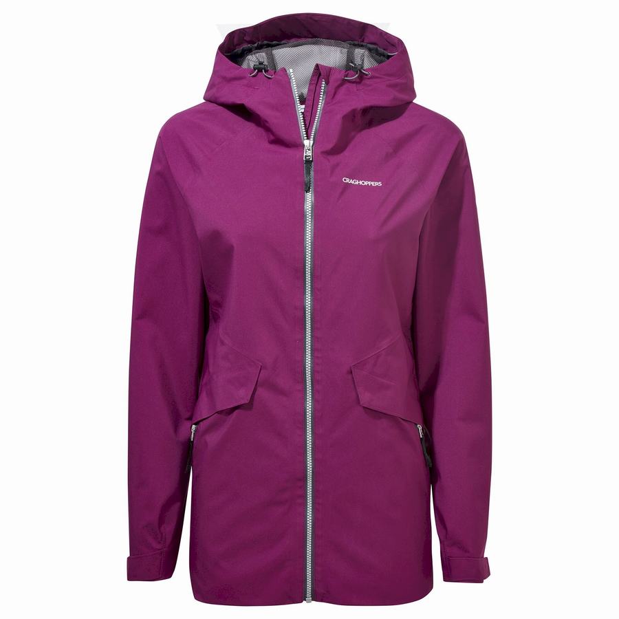 Vestes Craghoppers Minola GORE-TEX Violette Femme | RTE-5987059