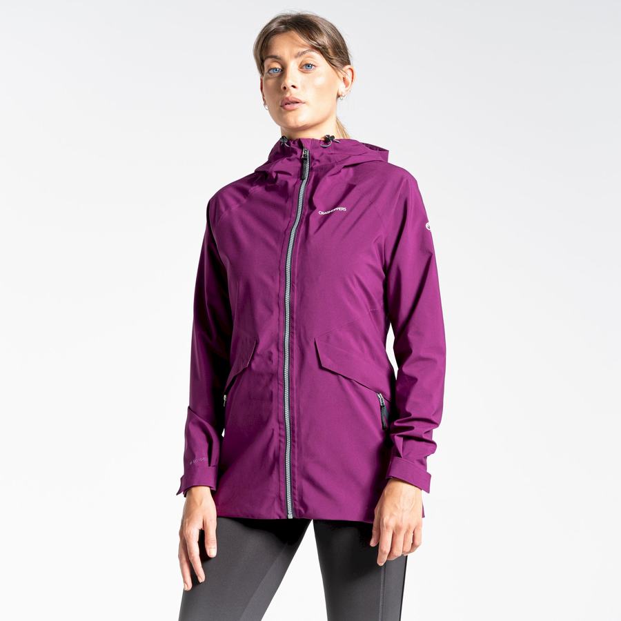 Vestes Craghoppers Minola GORE-TEX Violette Femme | RTE-5987059