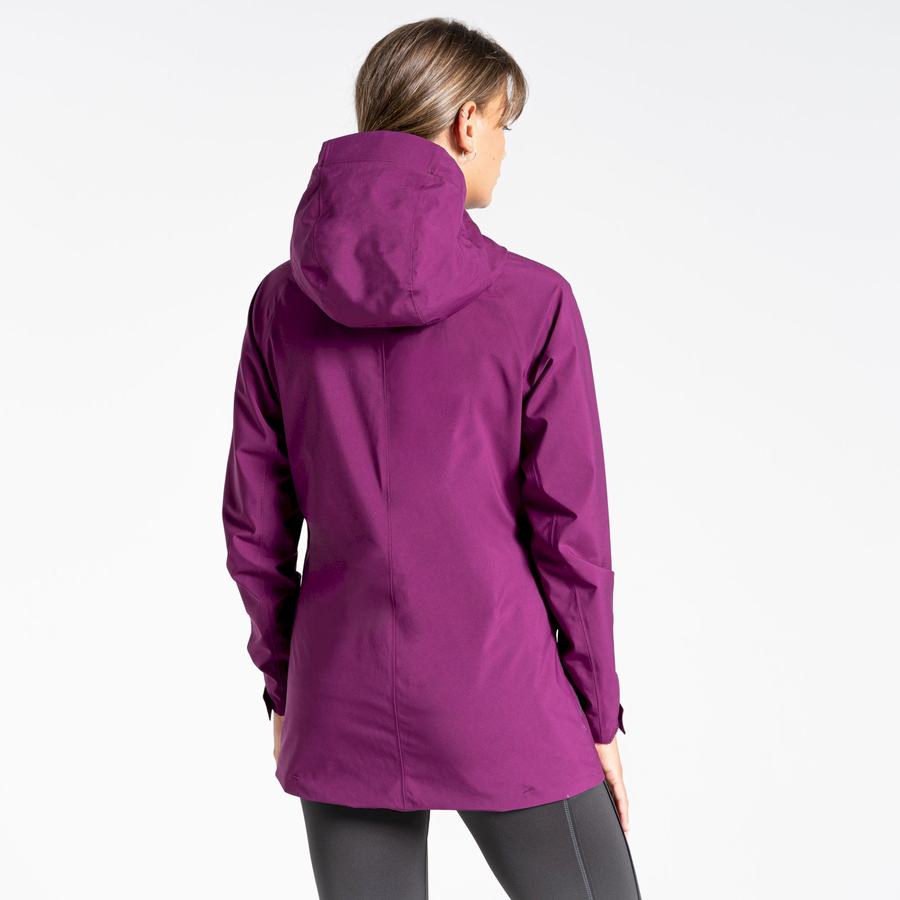 Vestes Craghoppers Minola GORE-TEX Violette Femme | RTE-5987059