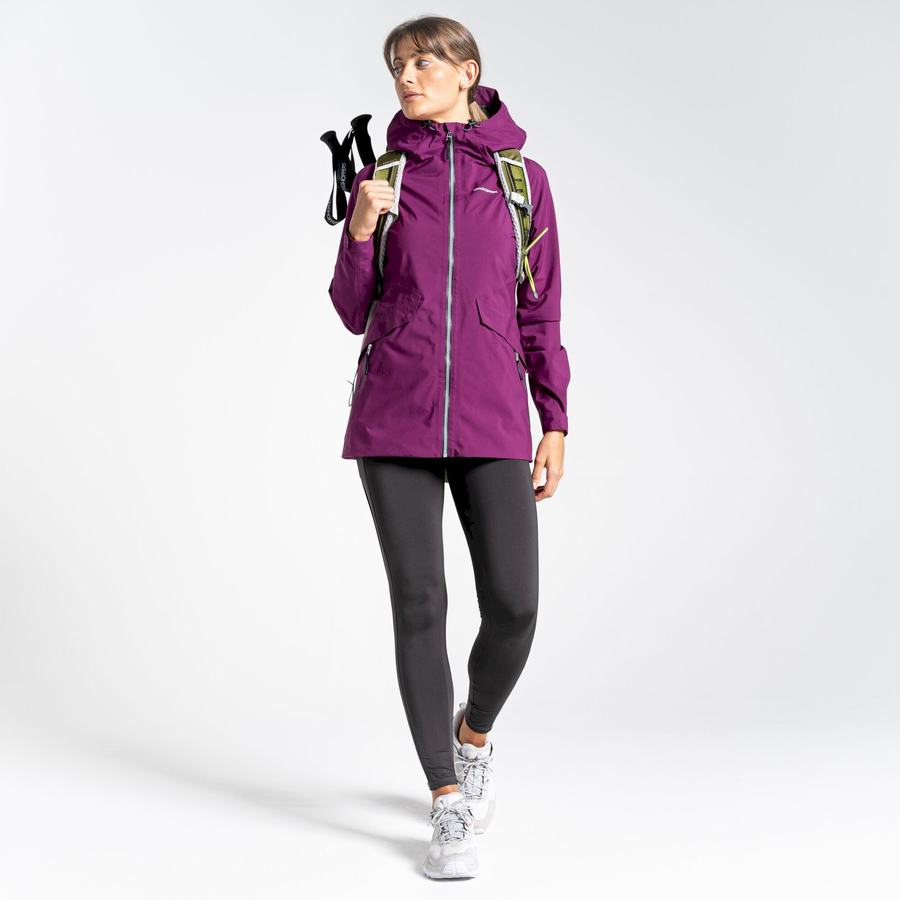 Vestes Craghoppers Minola GORE-TEX Violette Femme | RTE-5987059