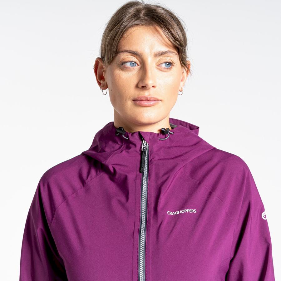 Vestes Craghoppers Minola GORE-TEX Violette Femme | RTE-5987059