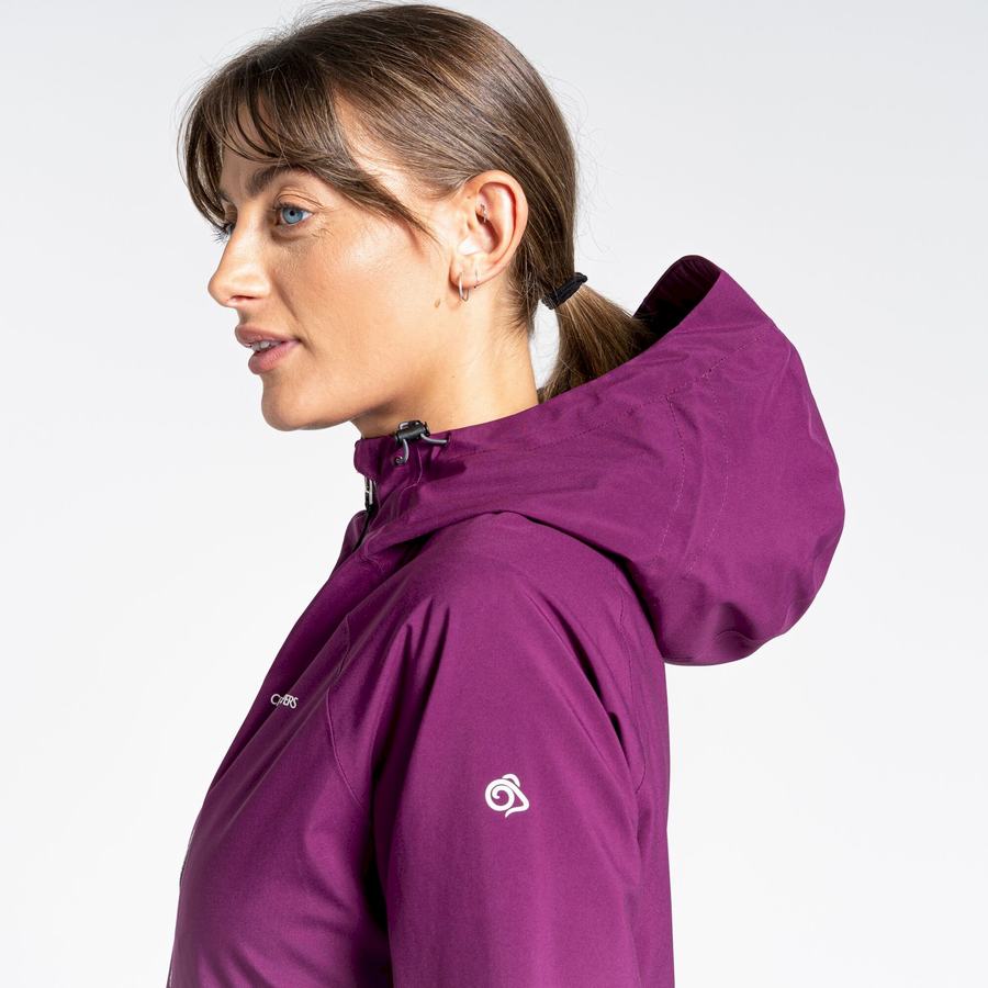 Vestes Craghoppers Minola GORE-TEX Violette Femme | RTE-5987059