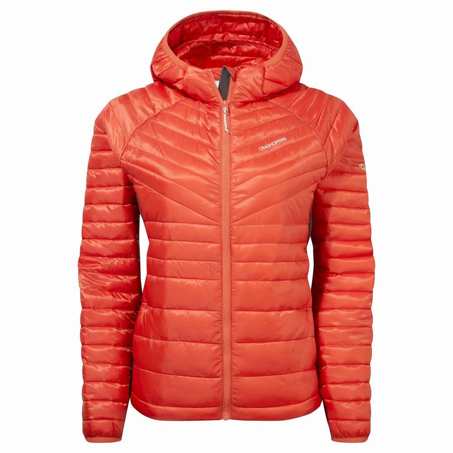 Vestes Craghoppers ExpoLite Insulated Encapuchonné Orange Femme | LND-9140662