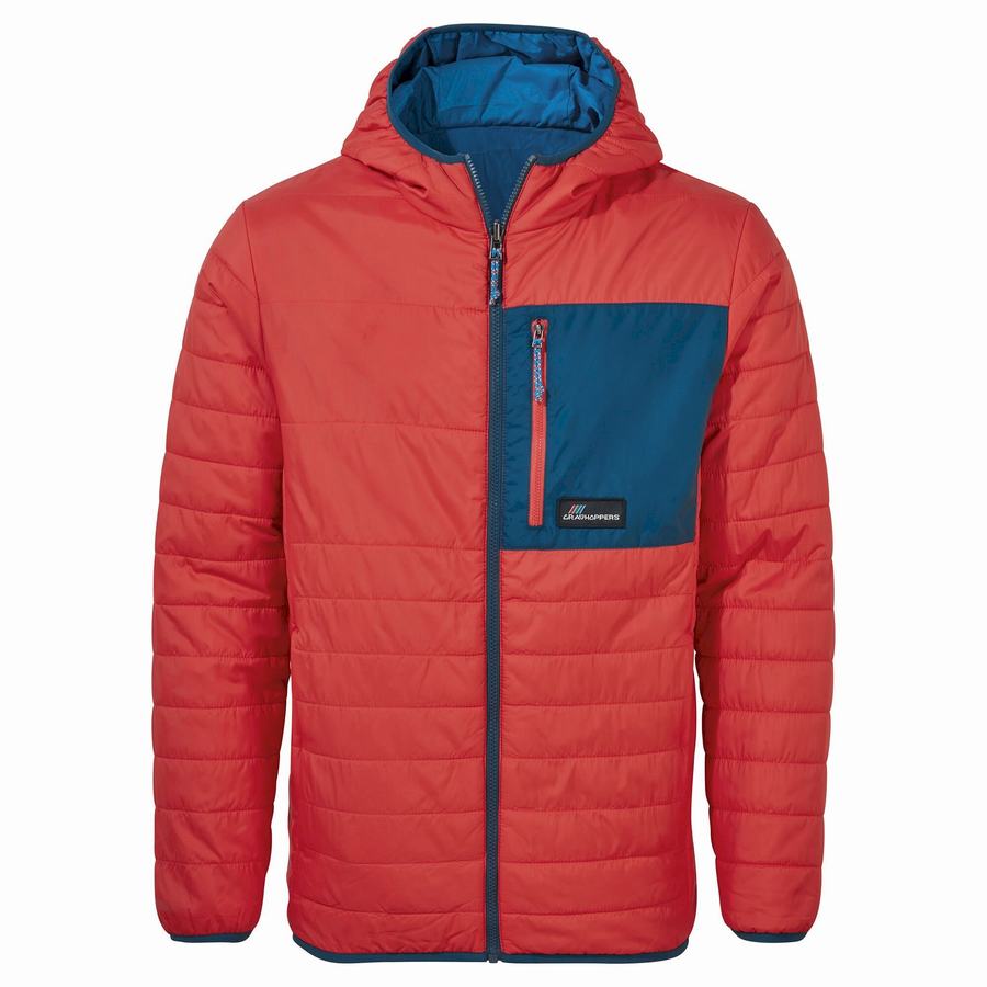 Vestes Craghoppers Cameo CompressLite Encapuchonné Orange Rouge Femme | NLB-6579984