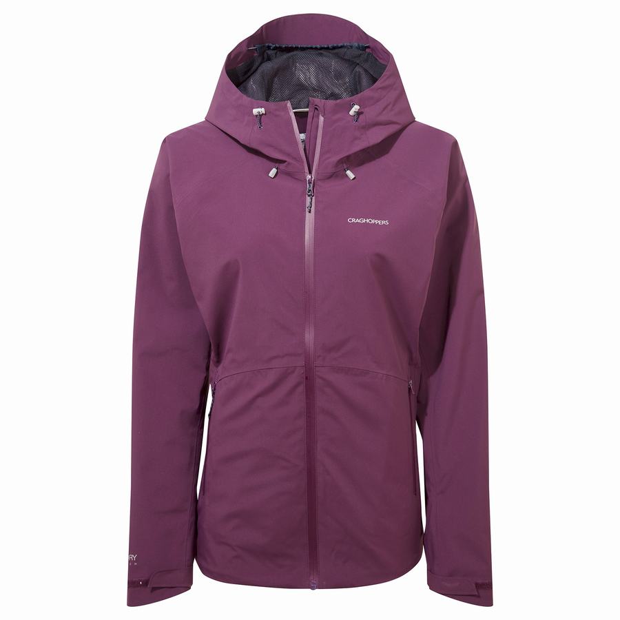 Vestes Craghoppers Anza Violette Femme | FQO-2194085