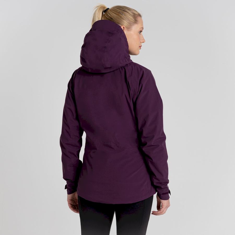 Vestes Craghoppers Anza Violette Femme | FQO-2194085