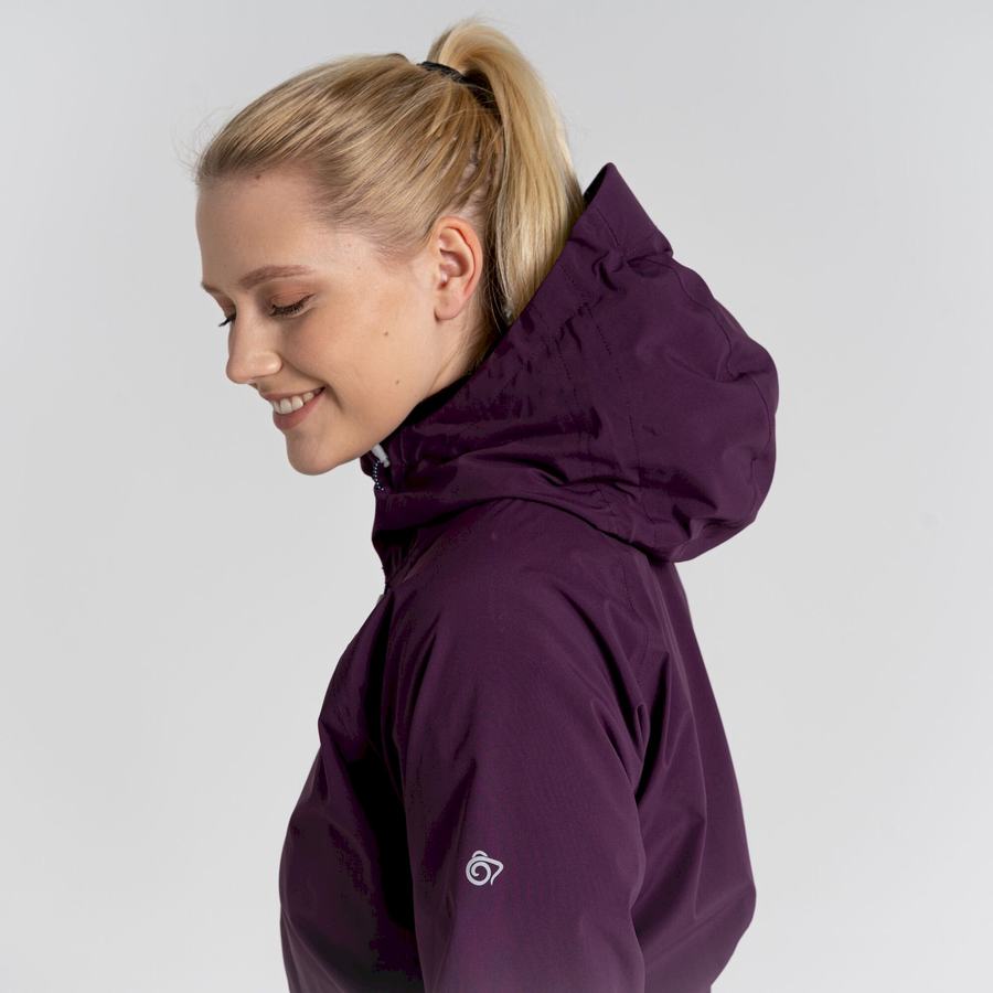 Vestes Craghoppers Anza Violette Femme | FQO-2194085