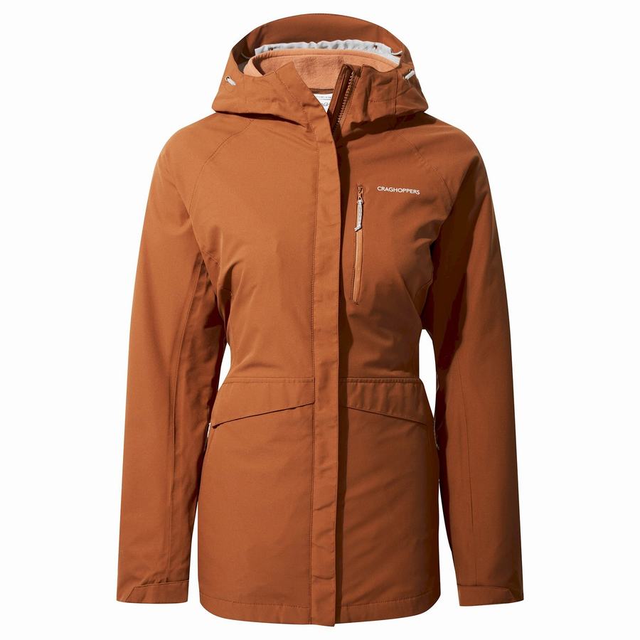 Vestes Craghoppers 3 In 1 Marron Femme | DYQ-0553639