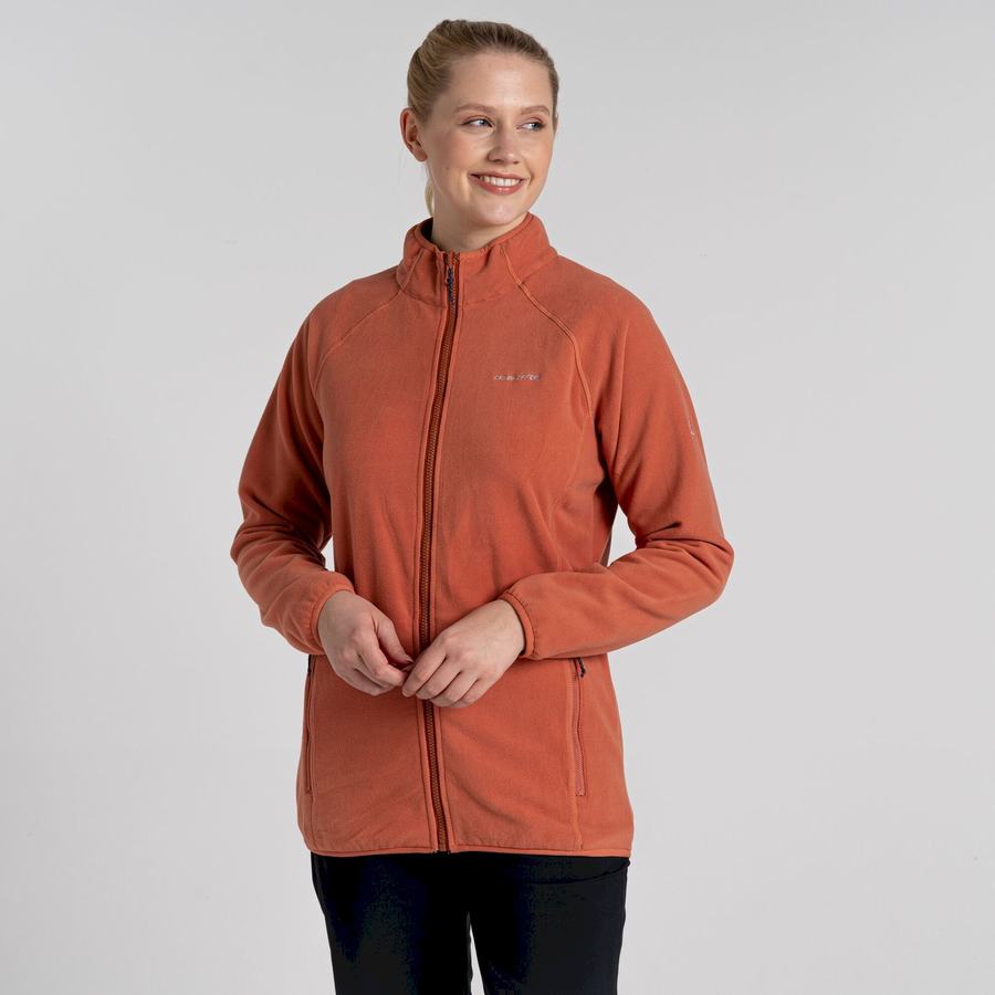 Vestes Craghoppers 3 In 1 Marron Femme | DYQ-0553639