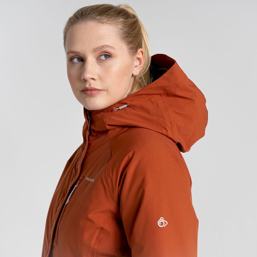 Vestes Craghoppers 3 In 1 Marron Femme | DYQ-0553639