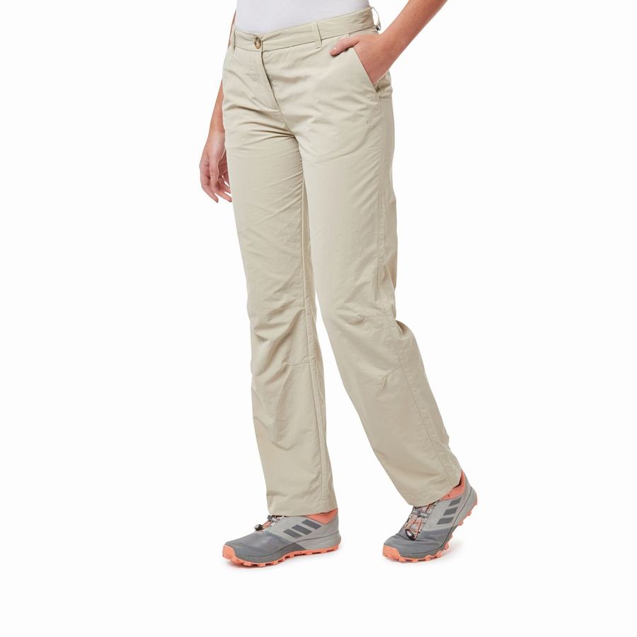 Pantalons Craghoppers NosiLife III Marron Femme | EHX-4093592