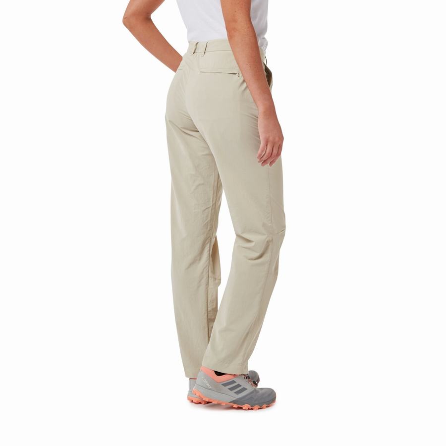 Pantalons Craghoppers NosiLife III Marron Femme | EHX-4093592