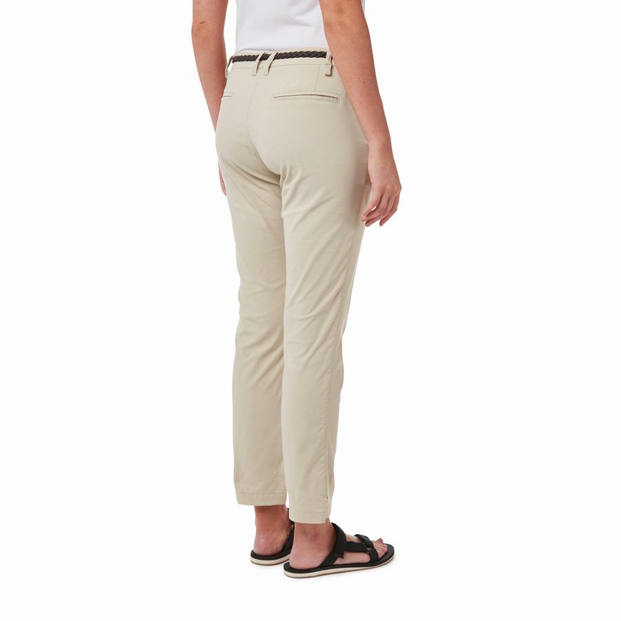 Pantalons Craghoppers NosiLife Briar Marron Femme | LGW-4238792