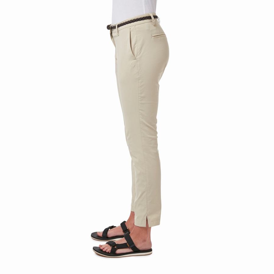 Pantalons Craghoppers NosiLife Briar Marron Femme | LGW-4238792