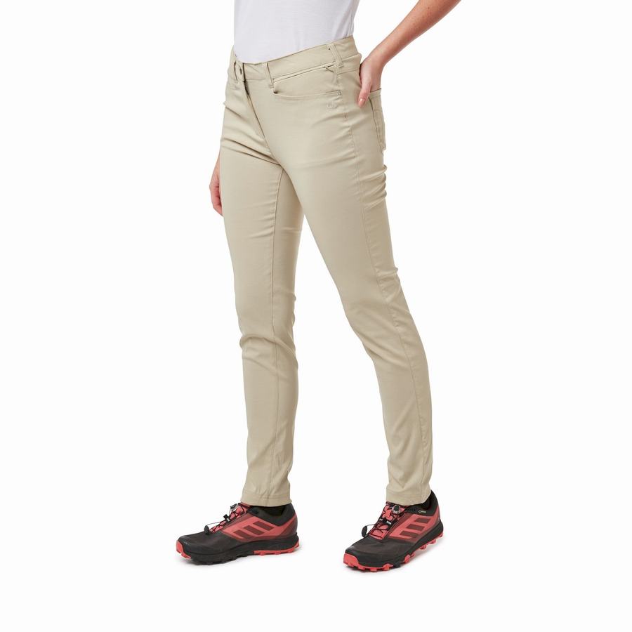 Pantalons Craghoppers Adventure Marron Femme | LGB-3608210