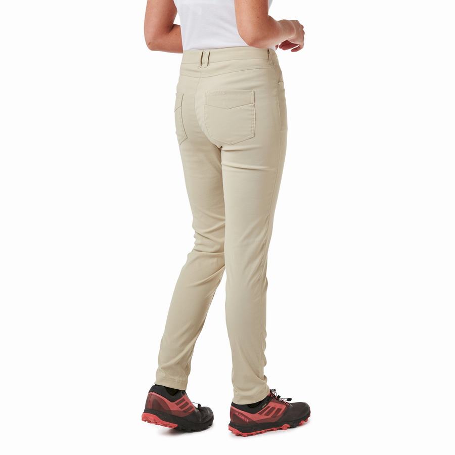 Pantalons Craghoppers Adventure Marron Femme | LGB-3608210