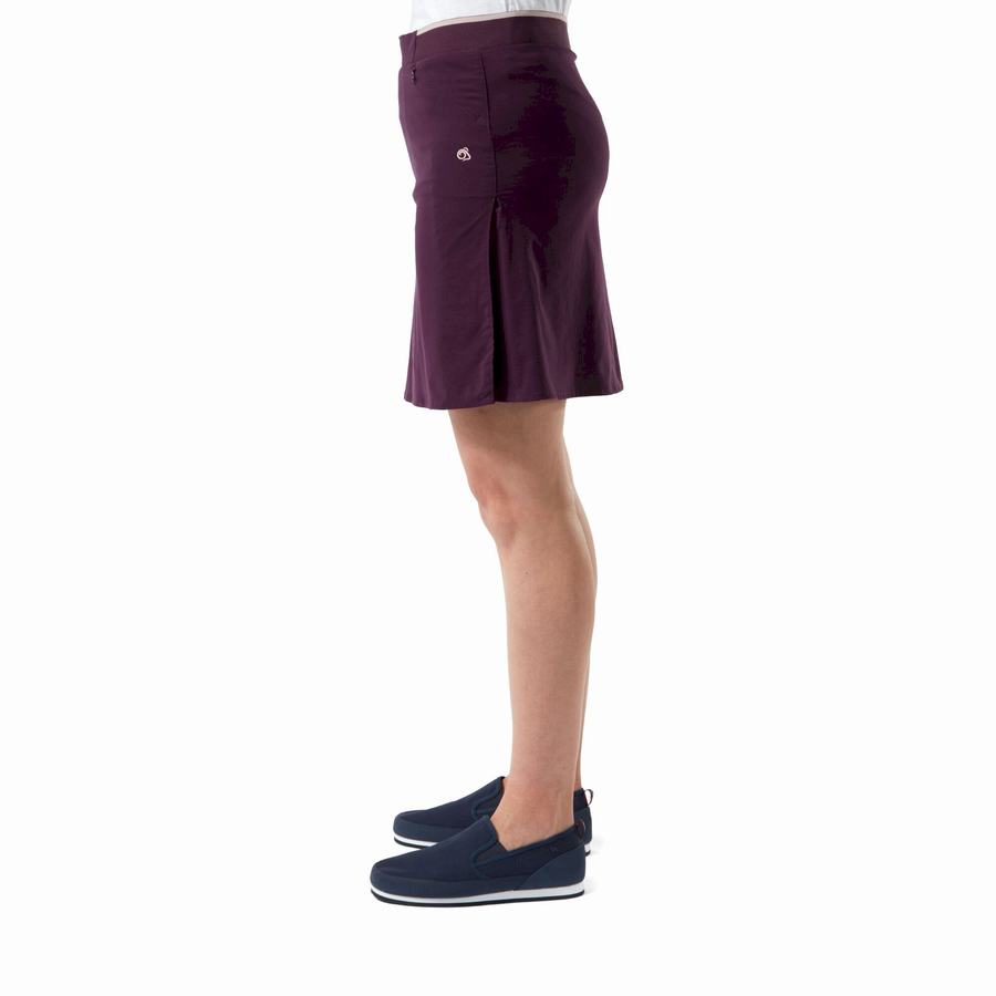 Shorts Craghoppers NosiLife Pro Skort Violette Femme | OOK-6903242