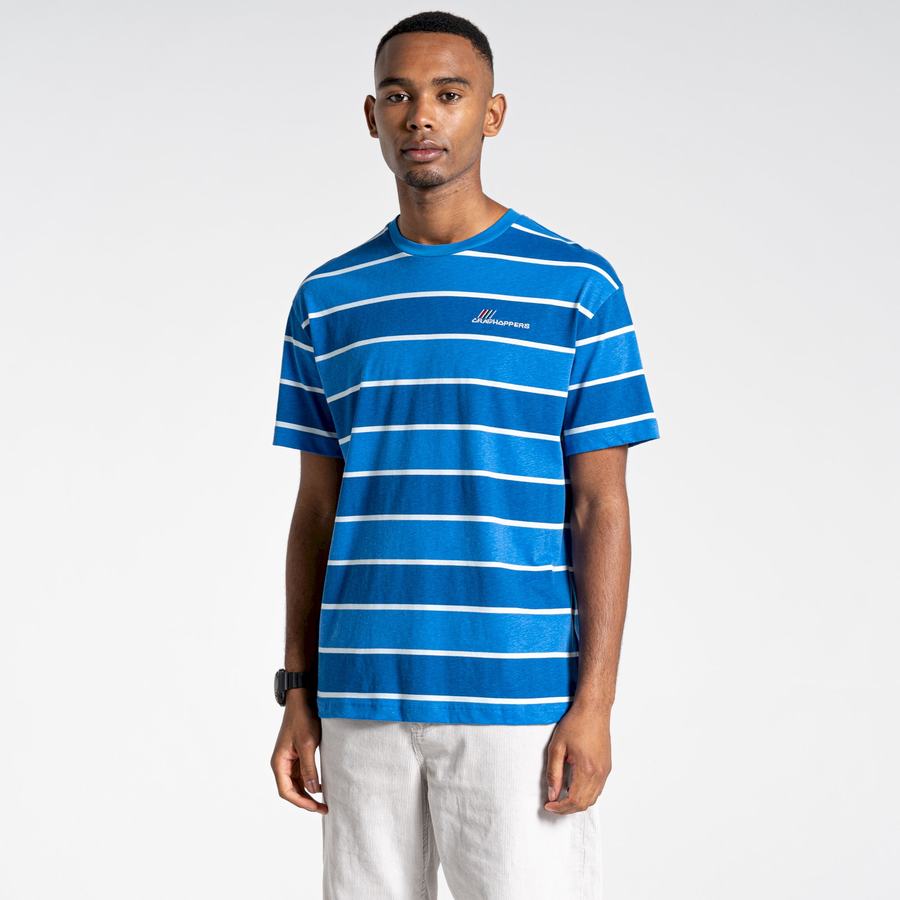 T Shirts Craghoppers Ventura Corta Sleeved Bleu Stripes Homme | IRZ-4397239