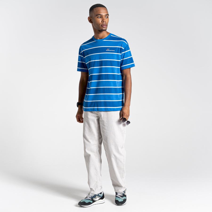 T Shirts Craghoppers Ventura Corta Sleeved Bleu Stripes Homme | IRZ-4397239