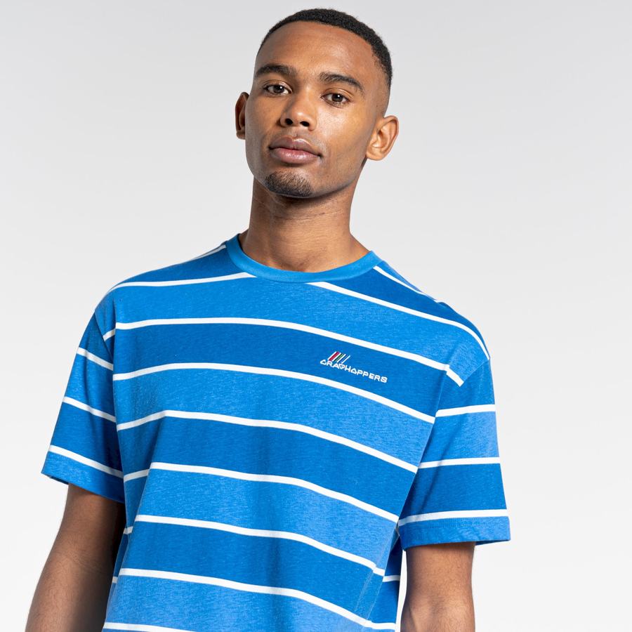 T Shirts Craghoppers Ventura Corta Sleeved Bleu Stripes Homme | IRZ-4397239