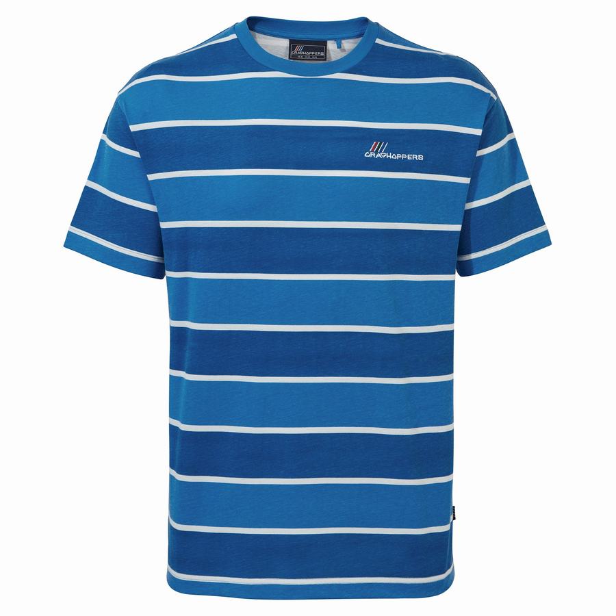 T Shirts Craghoppers Ventura Corta Sleeved Bleu Stripes Homme | IRZ-4397239