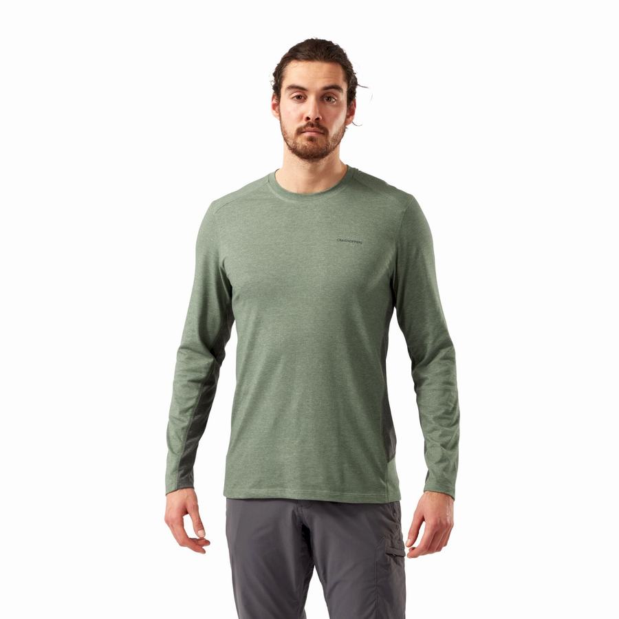 T Shirts Craghoppers NosiLife Talen Long Sleeved Vert Olive Homme | LYG-9275281