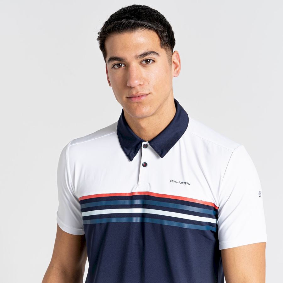 T Shirts Craghoppers NosiLife Pro Corta Sleeved Polo Blanche Bleu Bleu Marine Homme | TKT-8732419