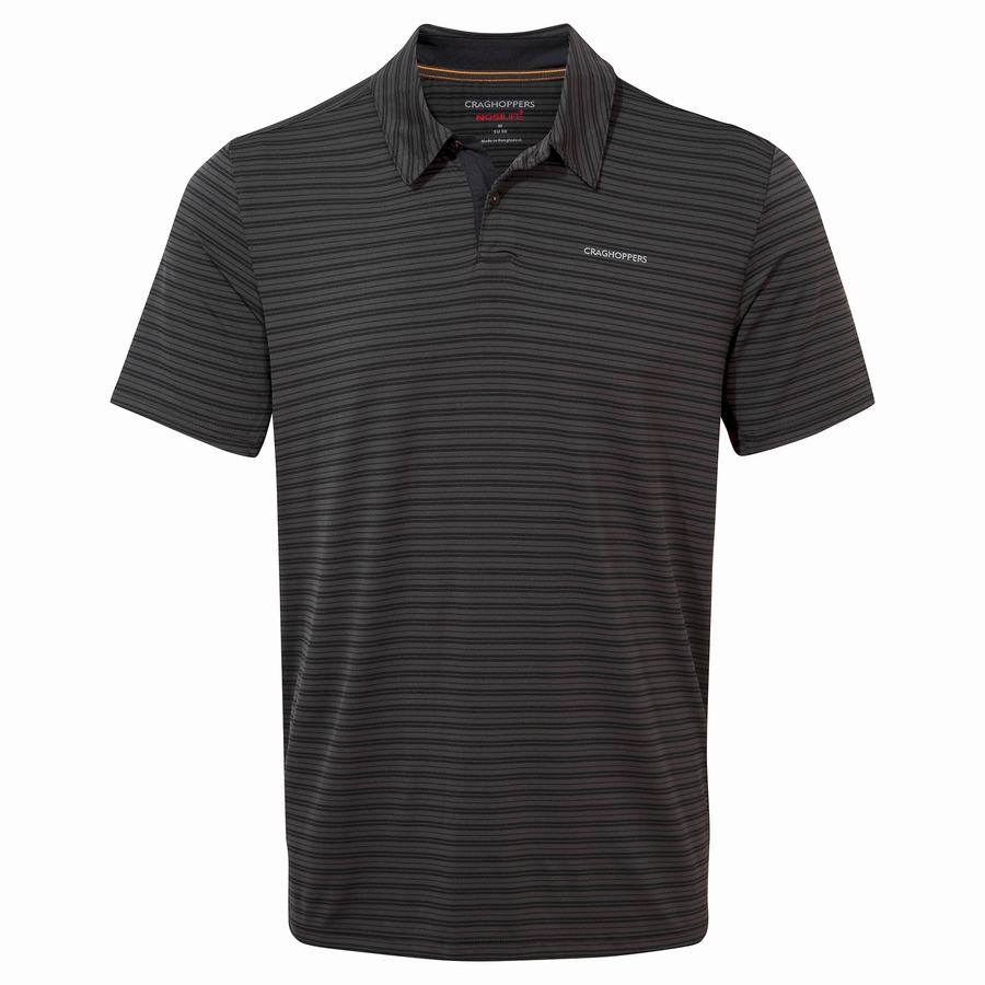 T Shirts Craghoppers NosiLife Pro Corta Sleeved Polo Noir Stripes Homme | OON-8319265