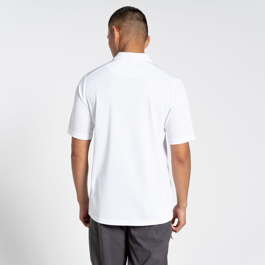 T Shirts Craghoppers NosiLife Pro Active Corta Sleeved Polo Blanche Homme | WOE-8253518