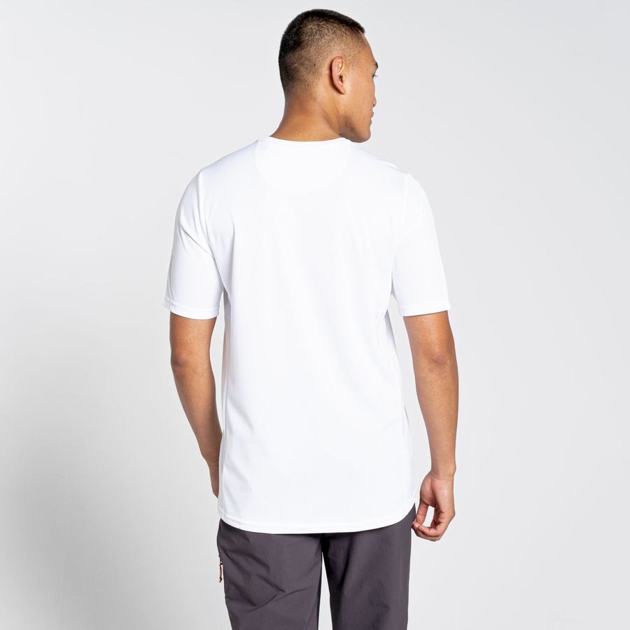 T Shirts Craghoppers NosiLife Pro Active Corta Sleeved Blanche Homme | EUB-2457659