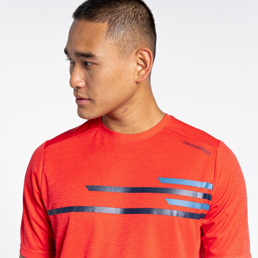 T Shirts Craghoppers NosiLife Pro Active Corta Sleeved Orange Rouge Homme | NJU-6512398