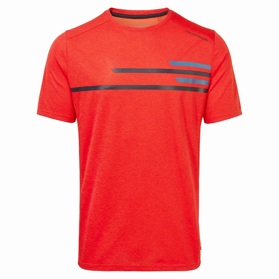 T Shirts Craghoppers NosiLife Pro Active Corta Sleeved Orange Rouge Homme | NJU-6512398