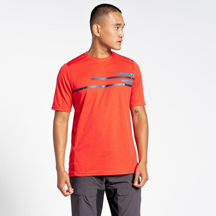 T Shirts Craghoppers NosiLife Pro Active Corta Sleeved Orange Rouge Homme | NJU-6512398