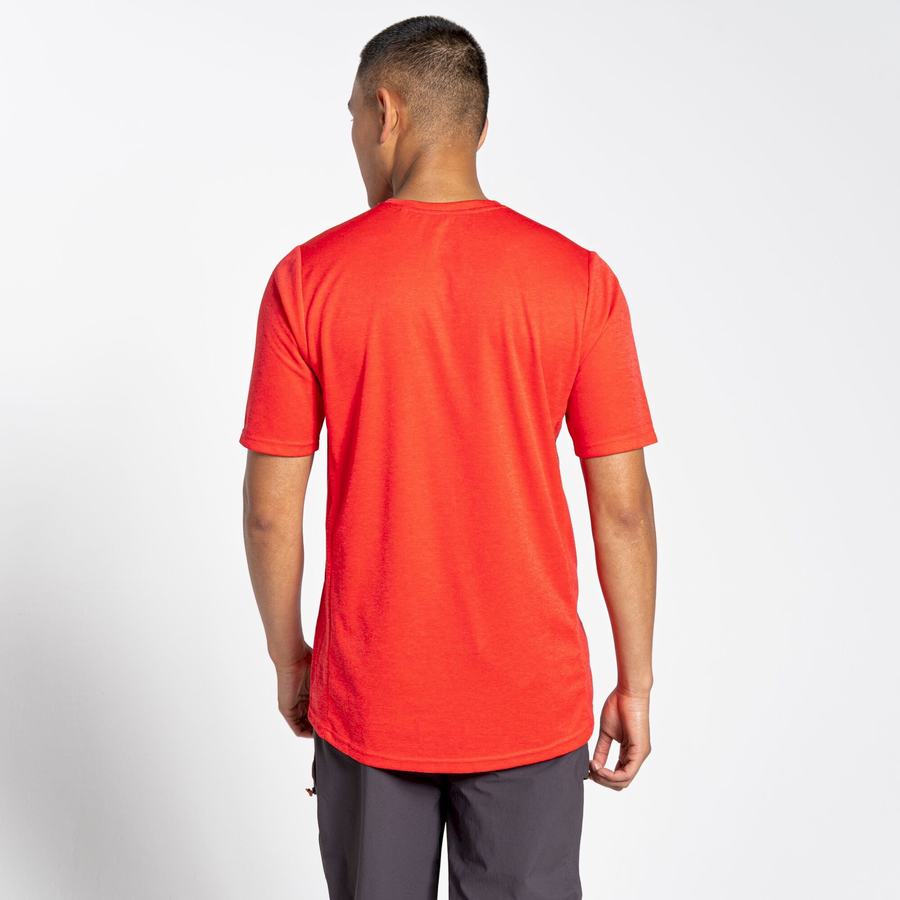 T Shirts Craghoppers NosiLife Pro Active Corta Sleeved Orange Rouge Homme | NJU-6512398