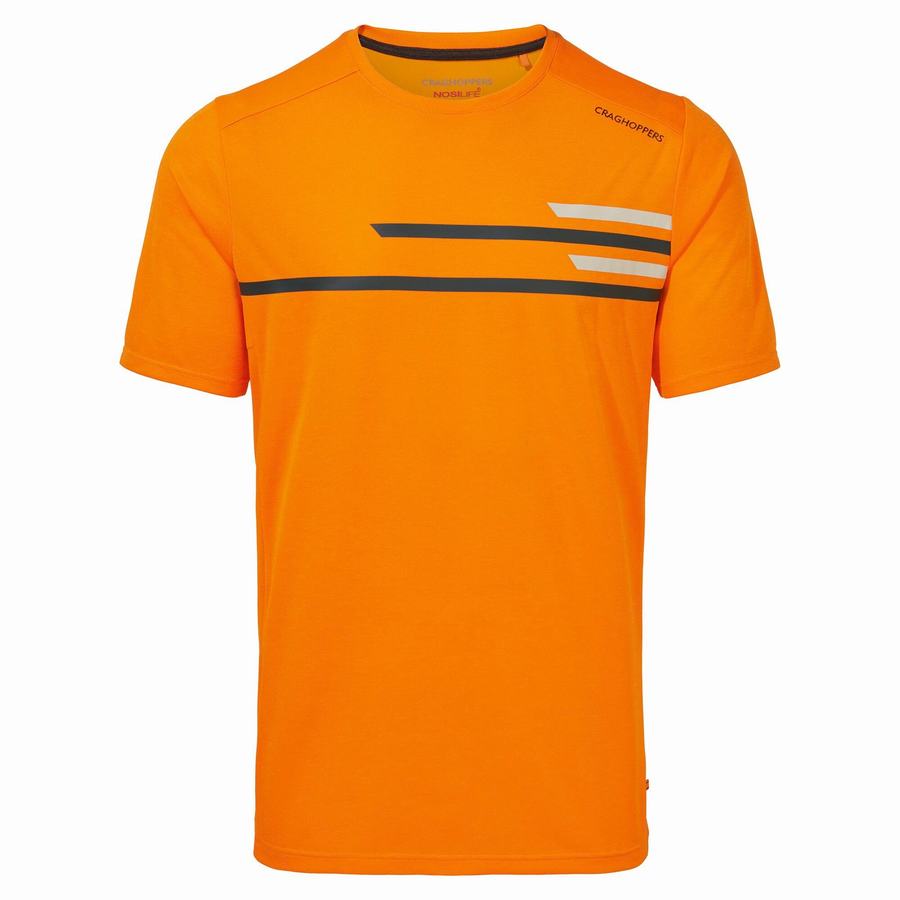 T Shirts Craghoppers NosiLife Pro Active Corta Sleeved Orange Homme | VLV-1539122