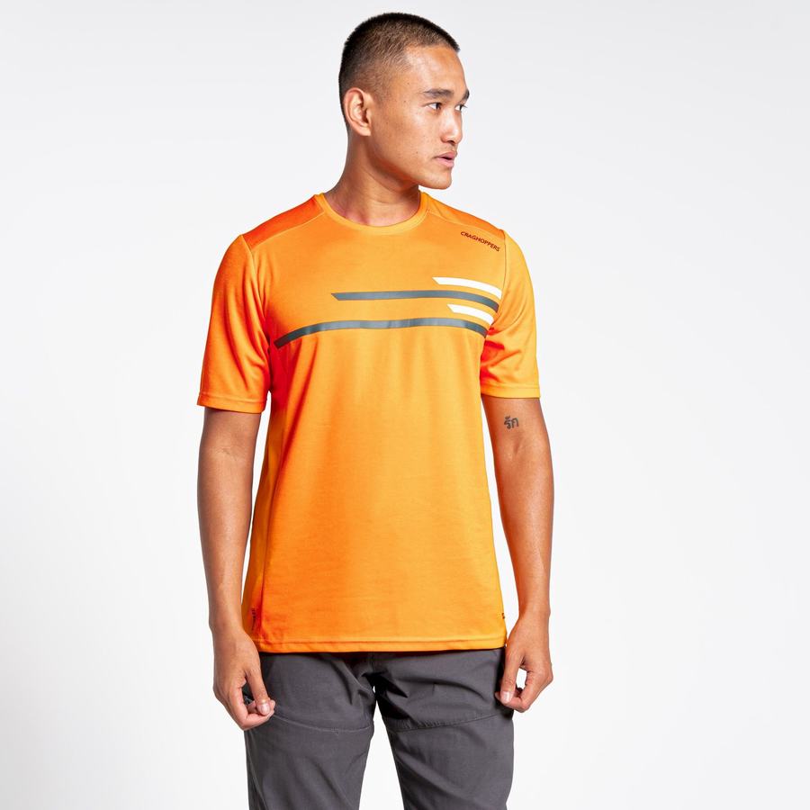 T Shirts Craghoppers NosiLife Pro Active Corta Sleeved Orange Homme | VLV-1539122