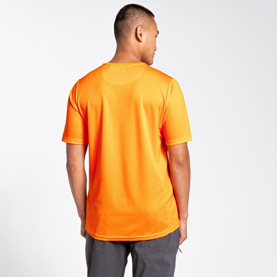 T Shirts Craghoppers NosiLife Pro Active Corta Sleeved Orange Homme | VLV-1539122