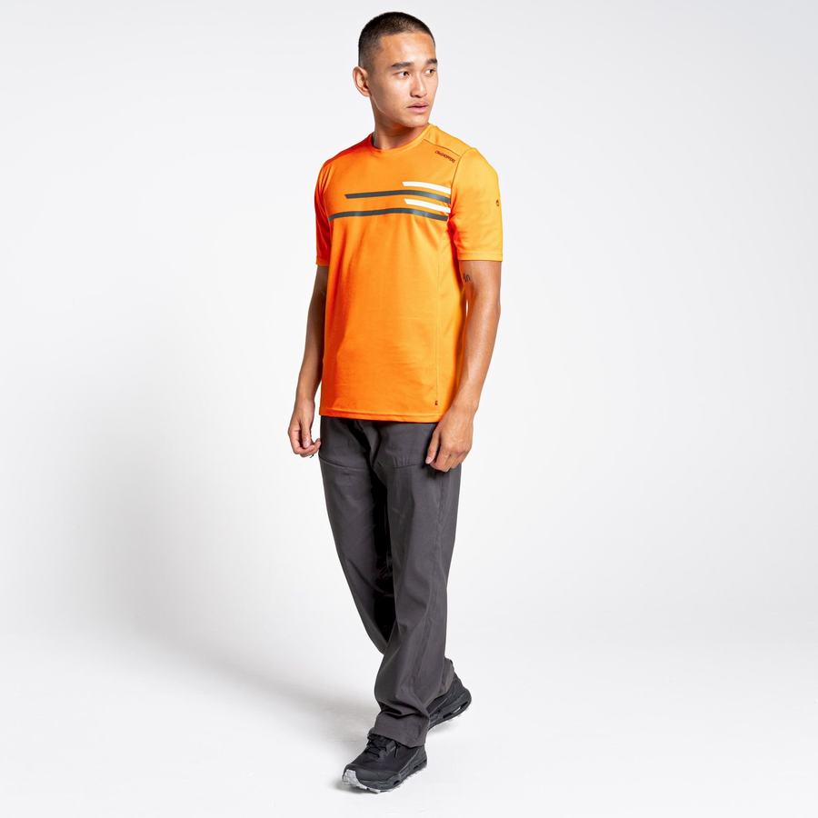 T Shirts Craghoppers NosiLife Pro Active Corta Sleeved Orange Homme | VLV-1539122