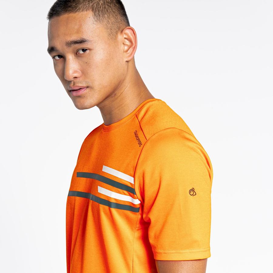 T Shirts Craghoppers NosiLife Pro Active Corta Sleeved Orange Homme | VLV-1539122