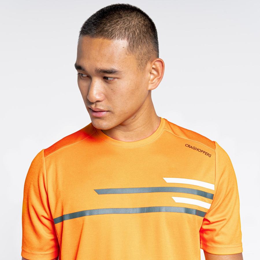 T Shirts Craghoppers NosiLife Pro Active Corta Sleeved Orange Homme | VLV-1539122