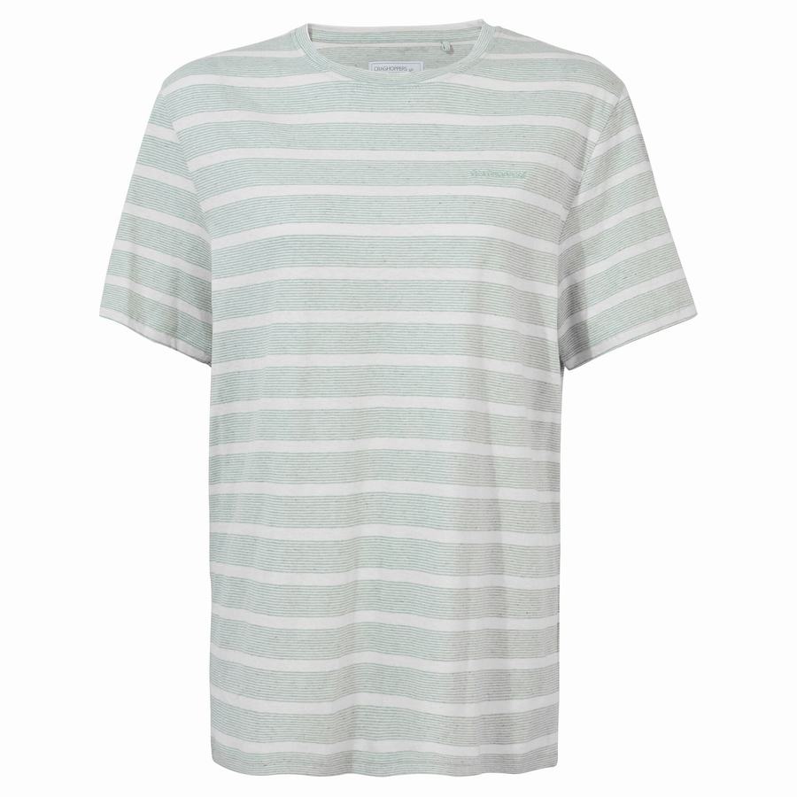 T Shirts Craghoppers Nosibotanical Sten Corta Sleeved Vert Stripes Homme | PIK-1911526