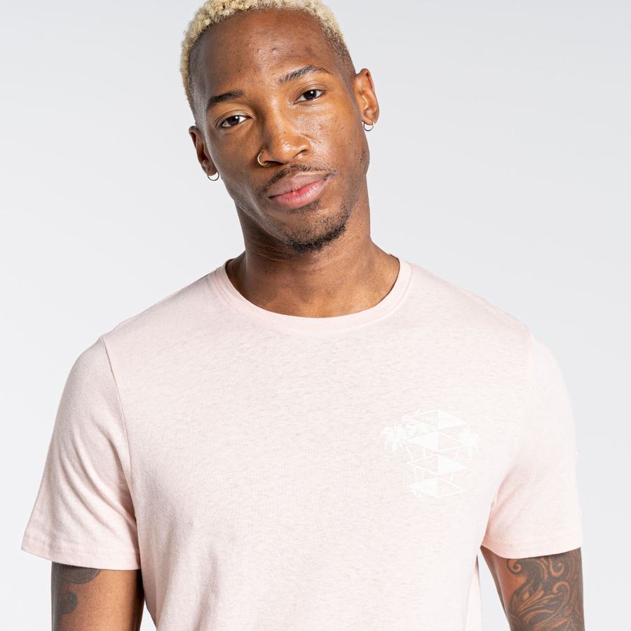 T Shirts Craghoppers Nosibotanical Sten Corta Sleeved Rose Homme | LTP-3560224