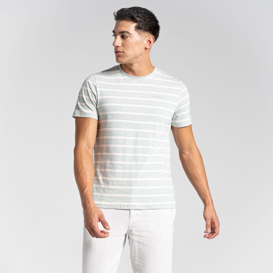 T Shirts Craghoppers Nosibotanical Sten Corta Sleeved Vert Stripes Homme | PIK-1911526