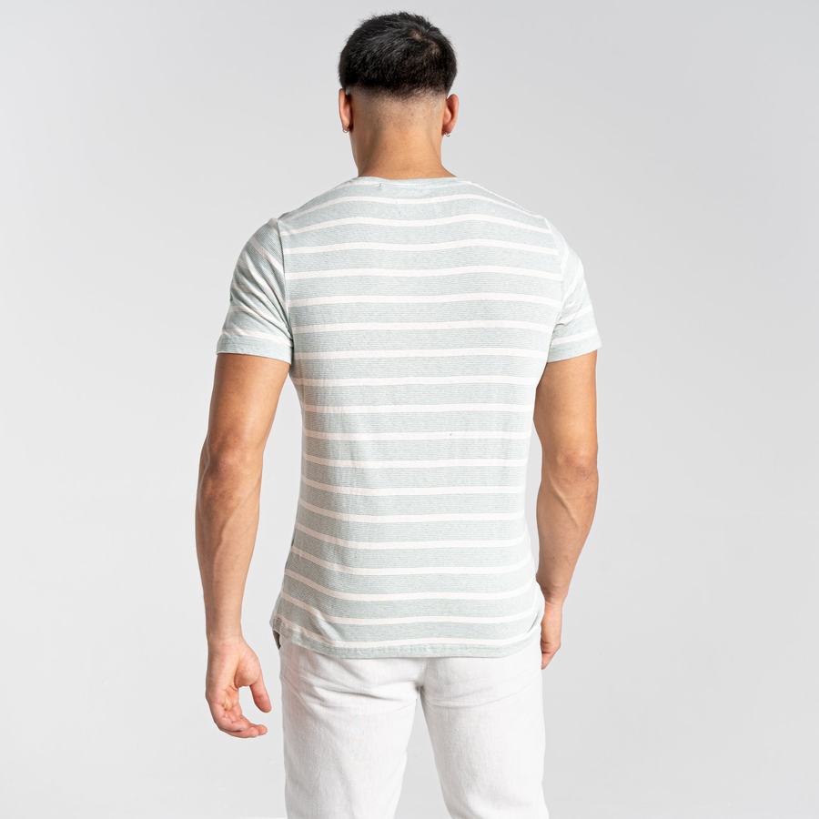 T Shirts Craghoppers Nosibotanical Sten Corta Sleeved Vert Stripes Homme | PIK-1911526