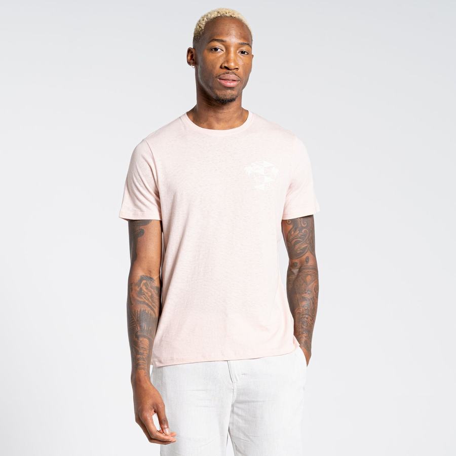 T Shirts Craghoppers Nosibotanical Sten Corta Sleeved Rose Homme | LTP-3560224