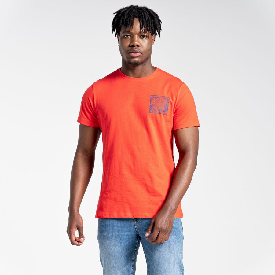 T Shirts Craghoppers Lugo Corta Sleeved Orange Rouge Homme | TRT-4111751