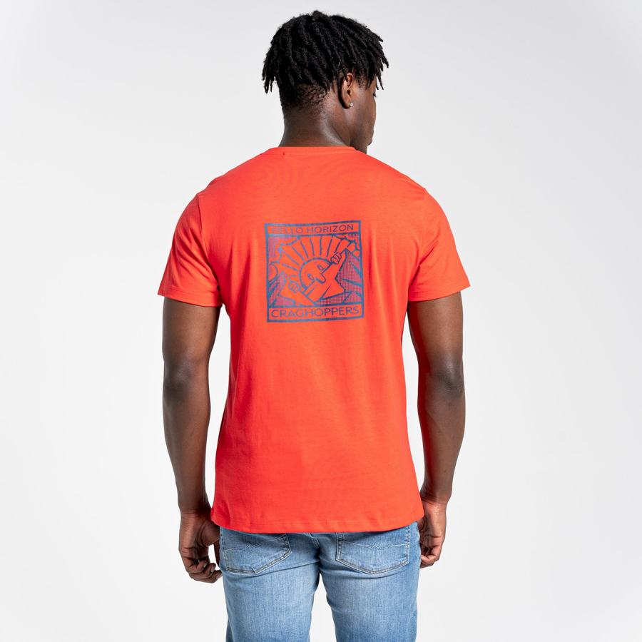 T Shirts Craghoppers Lugo Corta Sleeved Orange Rouge Homme | TRT-4111751