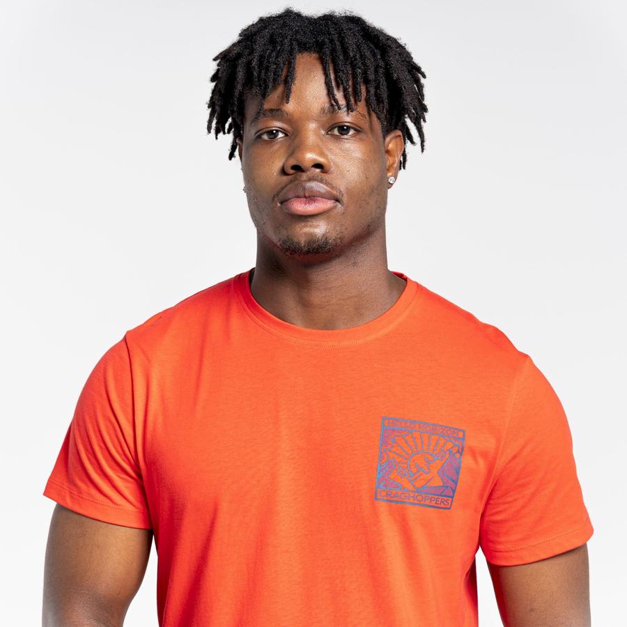 T Shirts Craghoppers Lugo Corta Sleeved Orange Rouge Homme | TRT-4111751