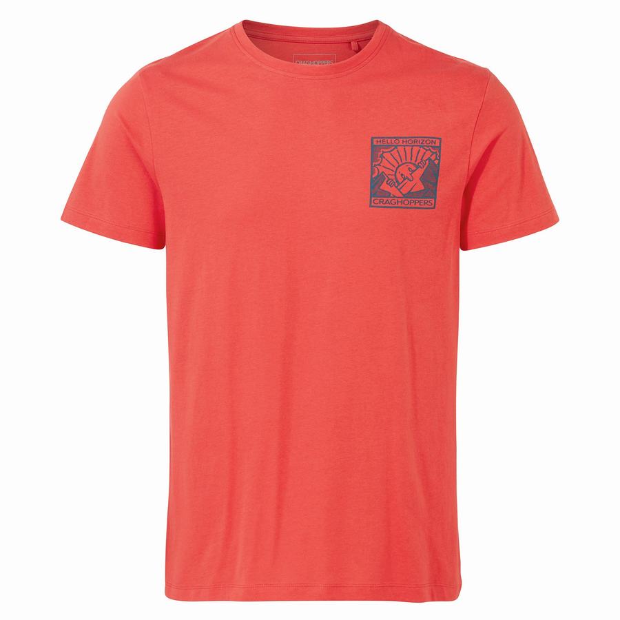 T Shirts Craghoppers Lugo Corta Sleeved Orange Rouge Homme | TRT-4111751